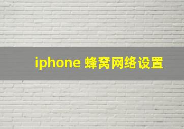 iphone 蜂窝网络设置